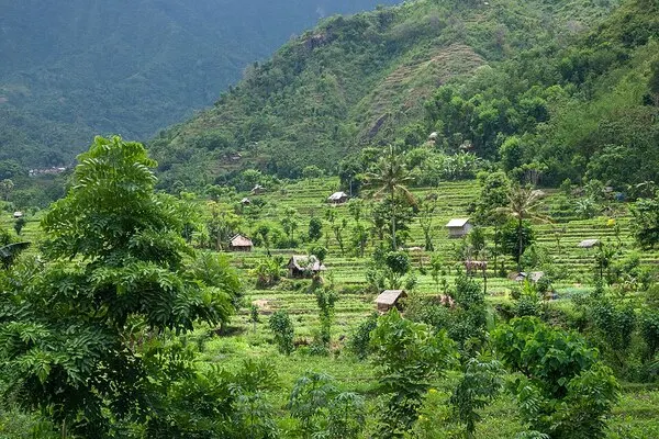 Indonesien — Landschaftseindruck
